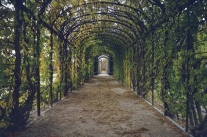 Walkway with arched green