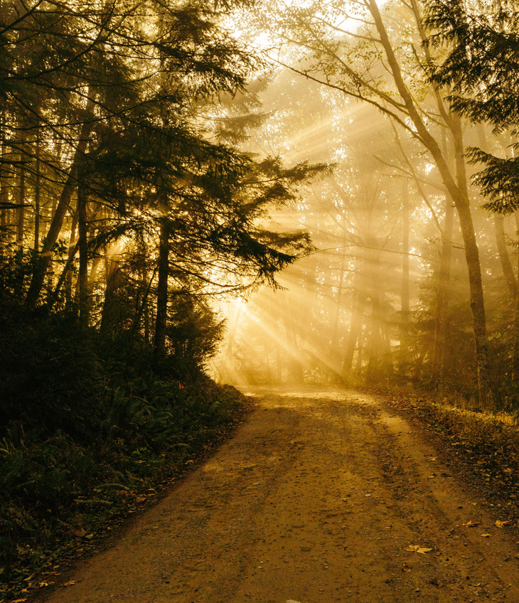 Morning Light On Wider Path-small